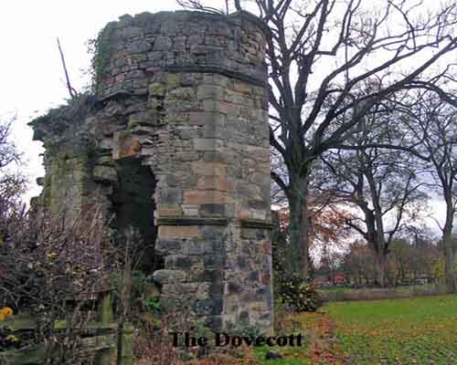 dovecott